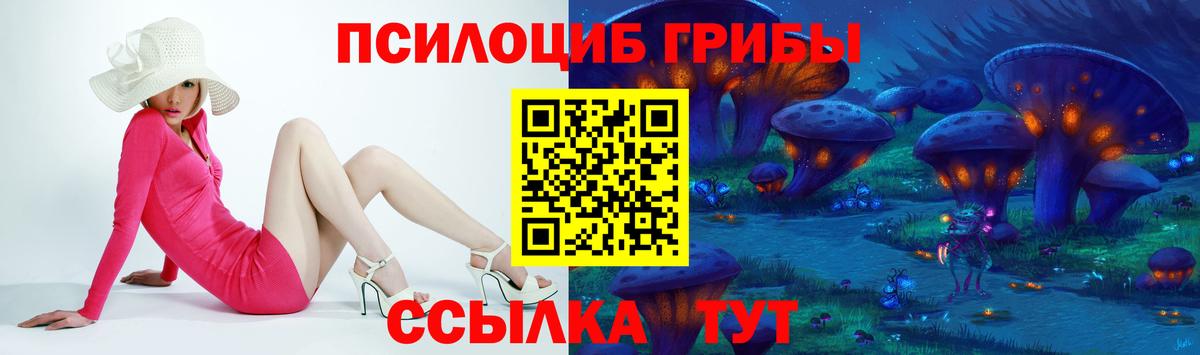 Димитровград  наркотики  Вход с VPN  Псилоцибиновые грибы Cubensis 